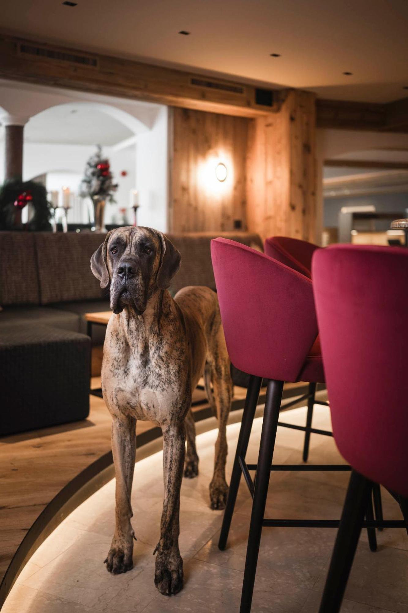 Alpenheim Charming & Spa Hotel Ortisei Ngoại thất bức ảnh
